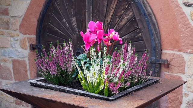 Laformas plantekasser: En bæredygtig og smuk løsning til bylivet
